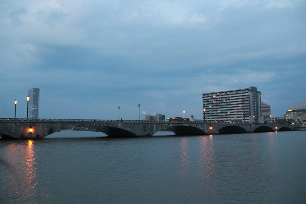 🌳 야스라기 제방(야스라기테이) 이미지 1
